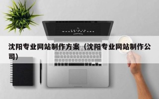 天水沈阳专业网站制作方案（沈阳专业网站制作公司）